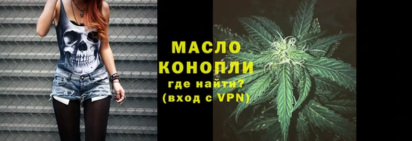 трава Ельня