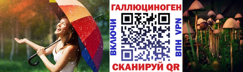 цена наркотик Новая Усмань Галлюциногенные грибы GOLDEN TEACHER